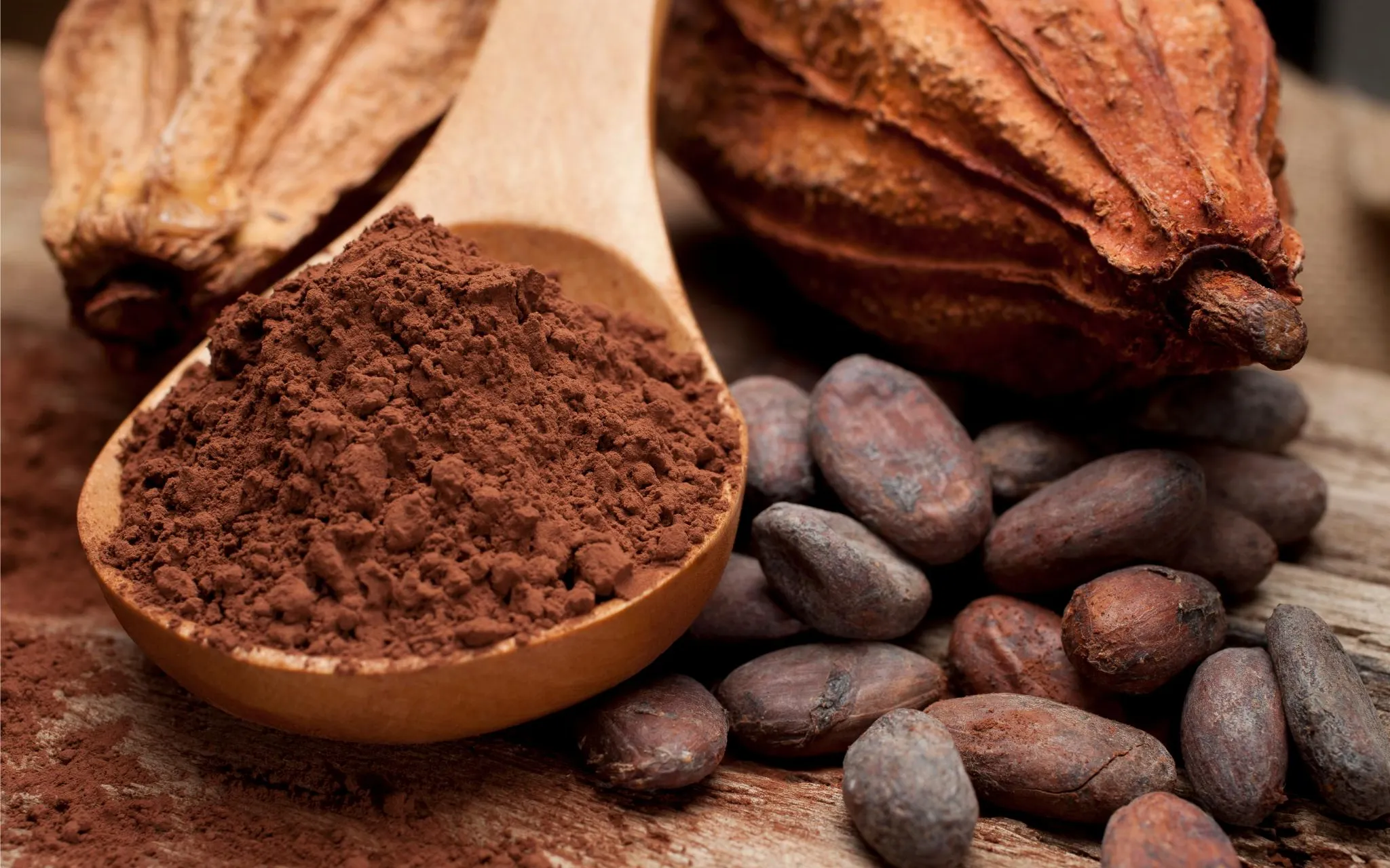 Cacao et fruits riches en antioxydants
